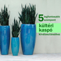 5 legfontosabb szempont kültéri kaspó kiválasztásához