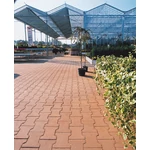 ROTTERDAM 6 cm-es térkövek