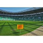 Természetes gyepszőnyeg