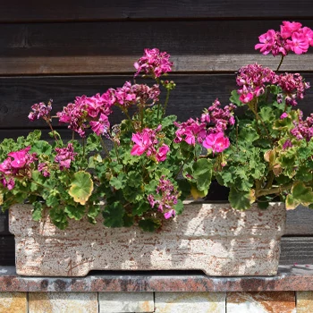 Virágtartók,kaspók